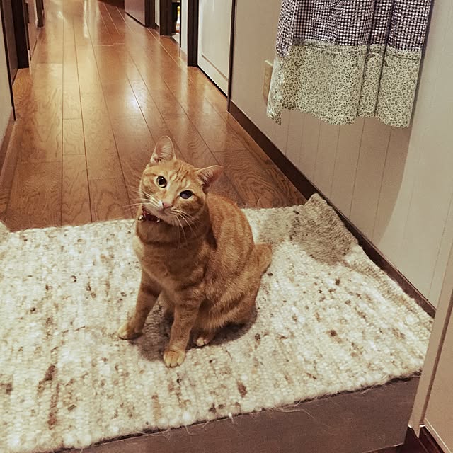 aknmamaさんの実例写真