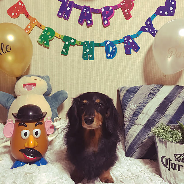 TAKAさんの実例写真