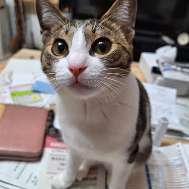akimameさんの部屋