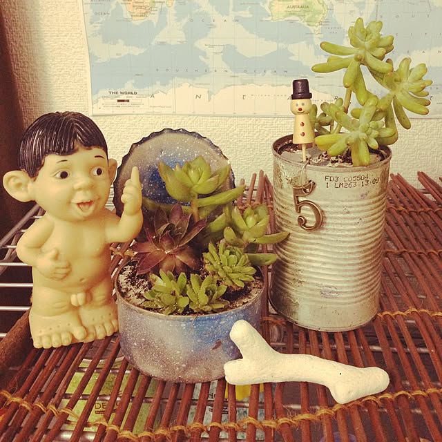Sakiさんの実例写真