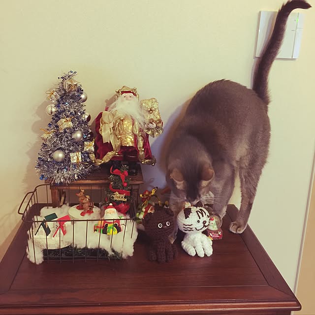 mi_koさんの実例写真