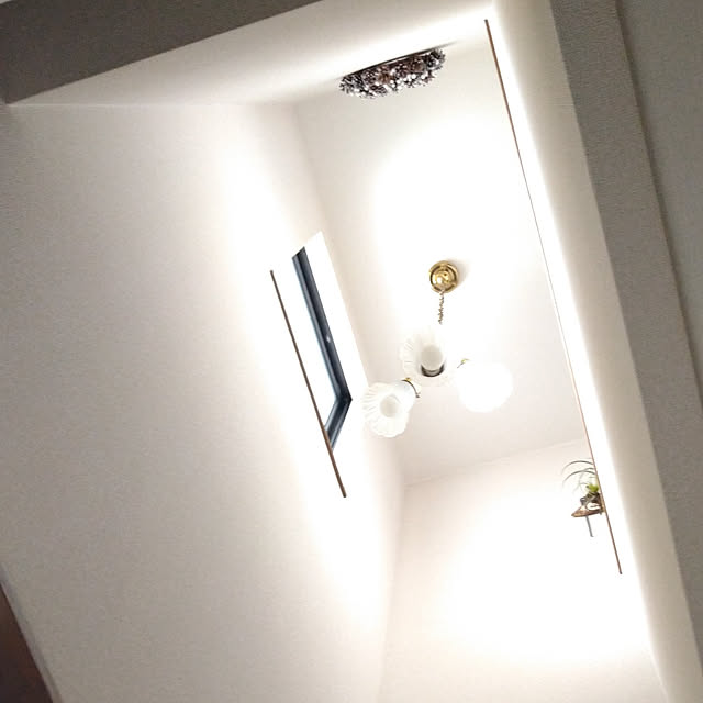 nippopoさんの実例写真