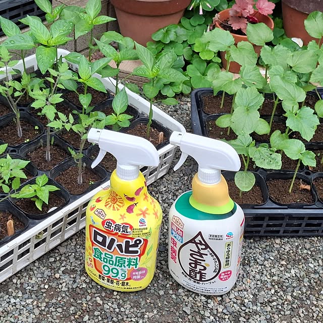 midoriさんの部屋