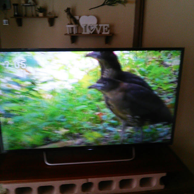 Tomopさんの実例写真