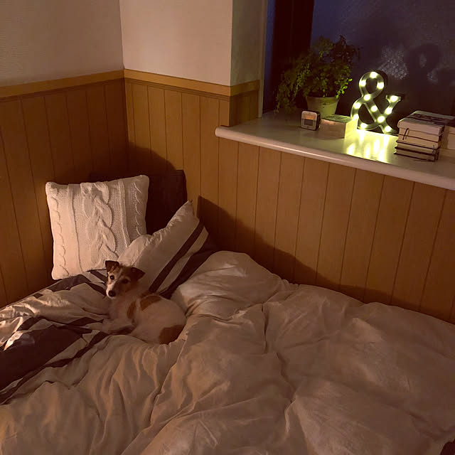 masamyさんの実例写真