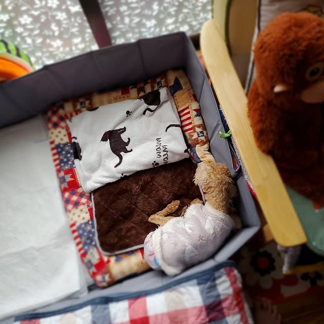 kumutanさんの部屋