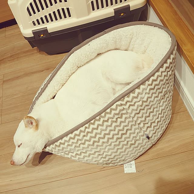 marico0930さんの実例写真