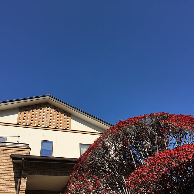 shirkさんの実例写真
