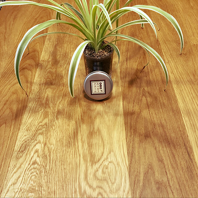 cocoaさんの実例写真