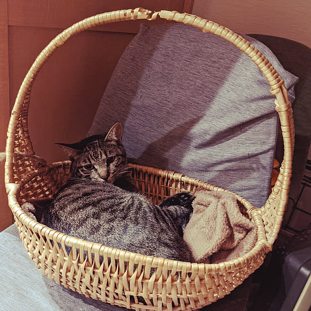 jacky-m-さんの実例写真