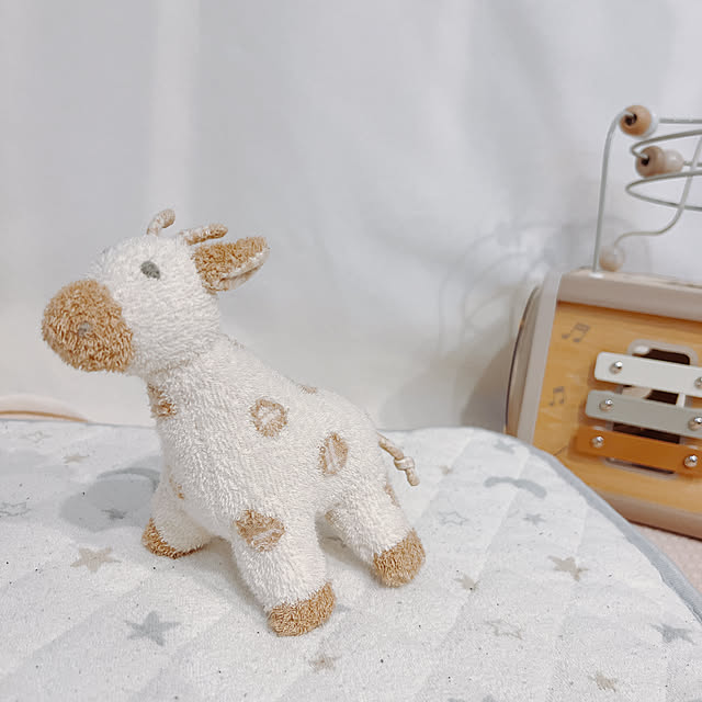 chanduさんの実例写真