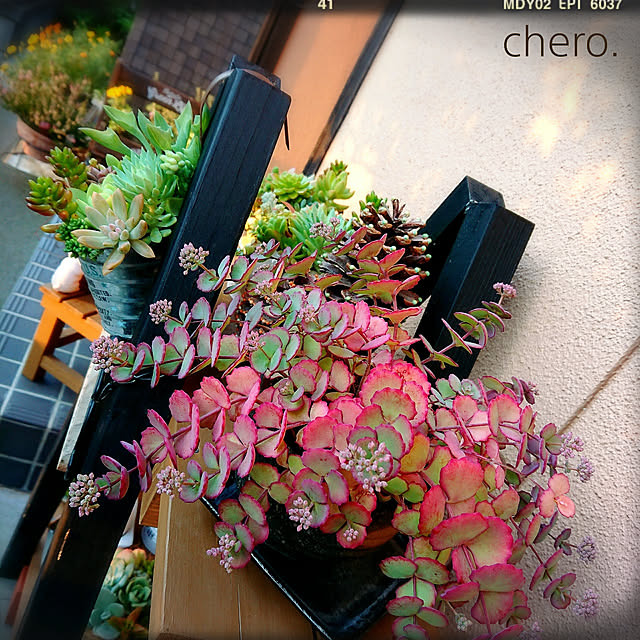 chero.さんの実例写真
