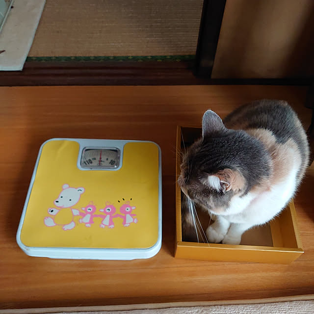 fukuさんの実例写真