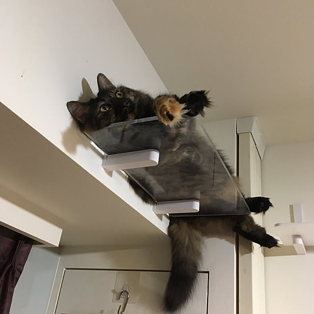 mikomaruさんの実例写真