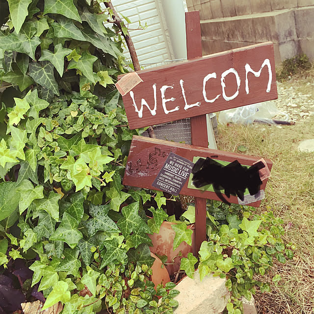 アイビー/適当DIY/ナチュラルが好き/こどもと暮らす。/建売を自分好みに♡...などのインテリア実例 - 2020-05-22 18:56:30