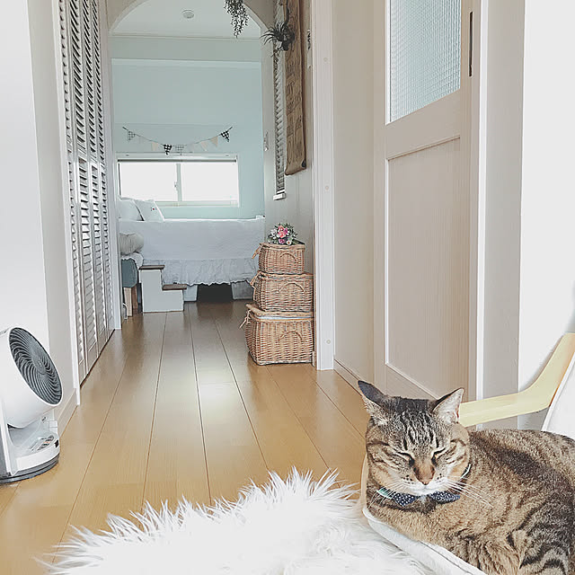lovecatさんの実例写真