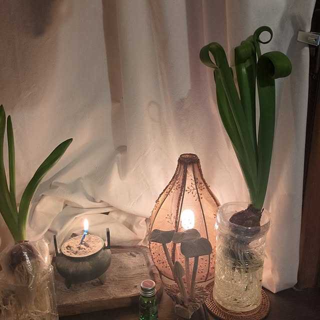 popoさんの実例写真