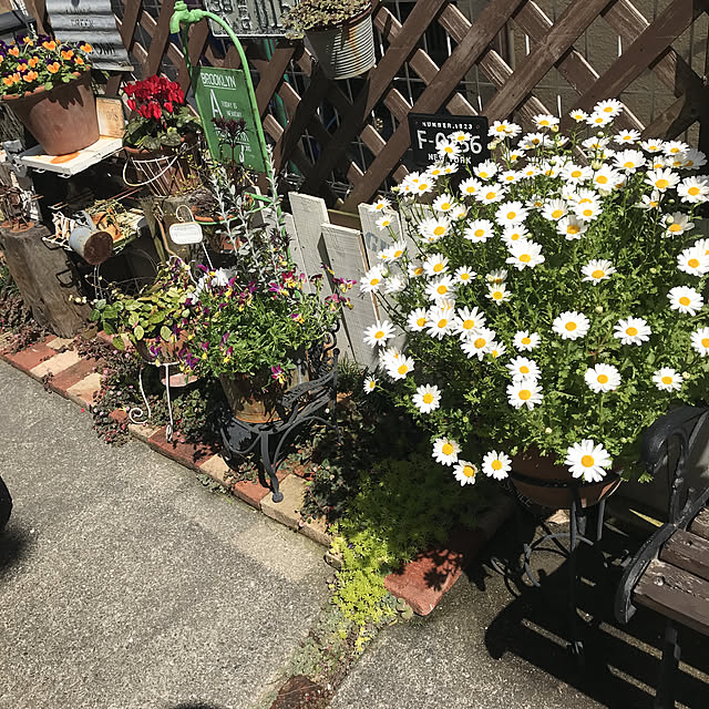 tanomamaさんの実例写真