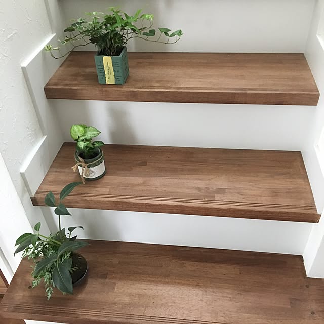 PIYOLANDさんの実例写真