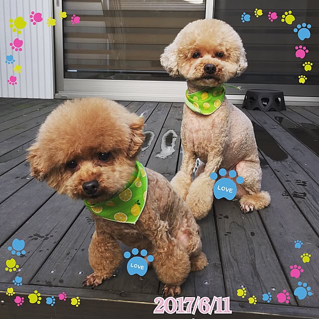 noririnさんの実例写真