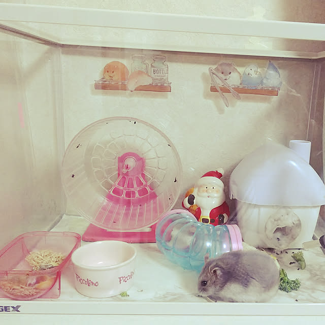 nonchanさんの実例写真