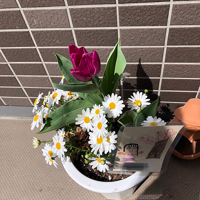 miyunon1027さんの実例写真