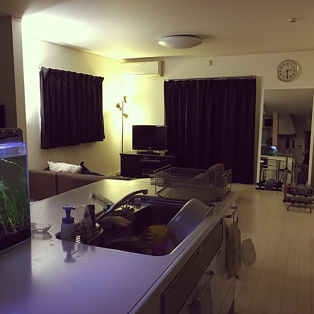 実例写真