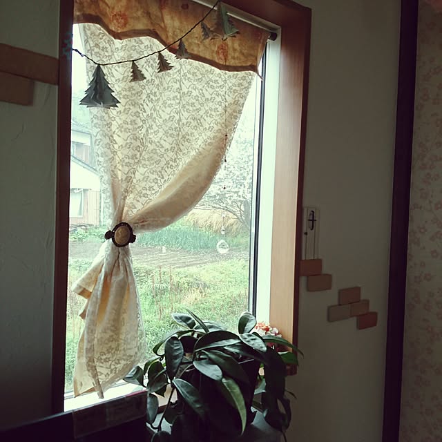 akiさんの実例写真