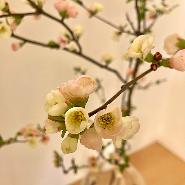 sizen.sozaiga.sukiさんの部屋