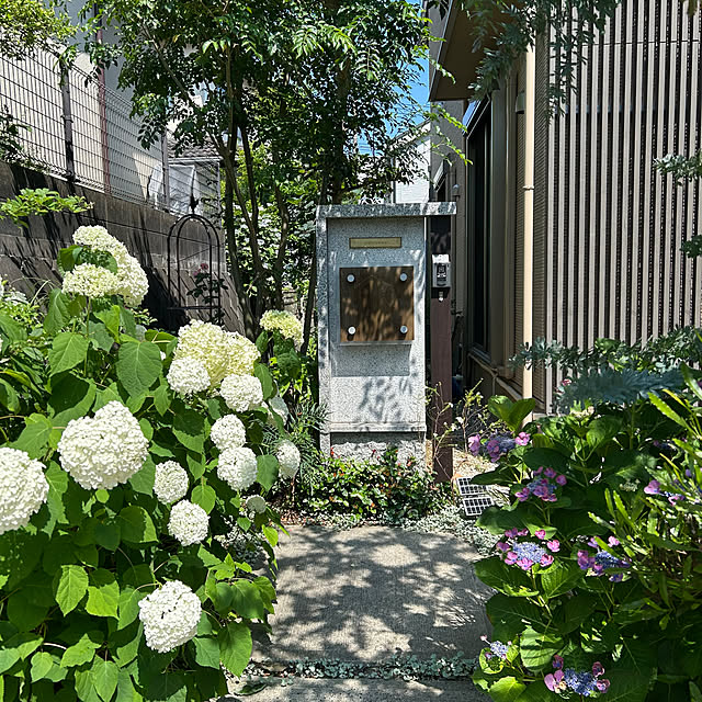 hatsugaさんの部屋
