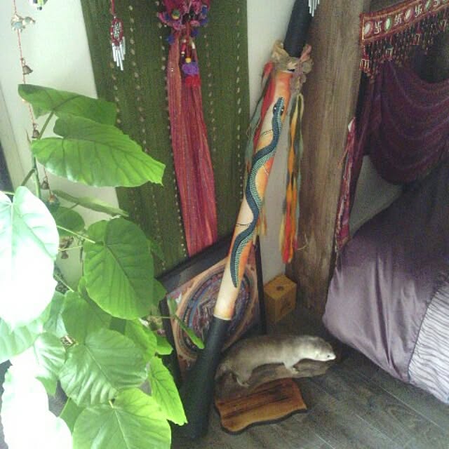 musinosekaiさんの実例写真