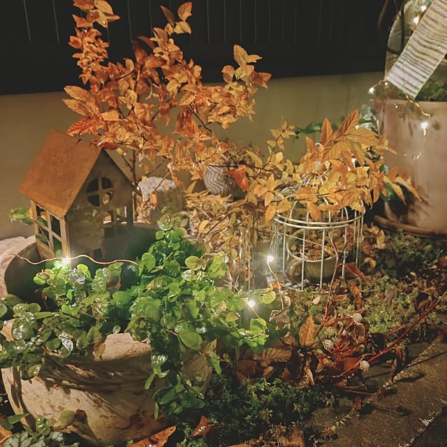 Motoziさんの実例写真