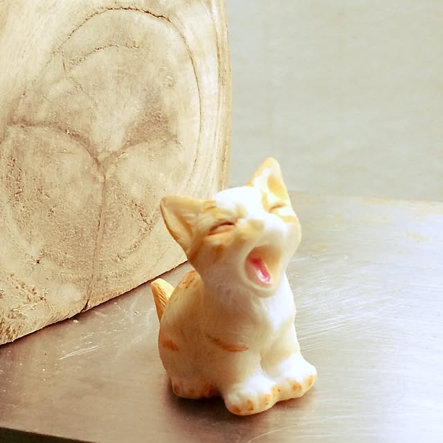 apiさんの実例写真
