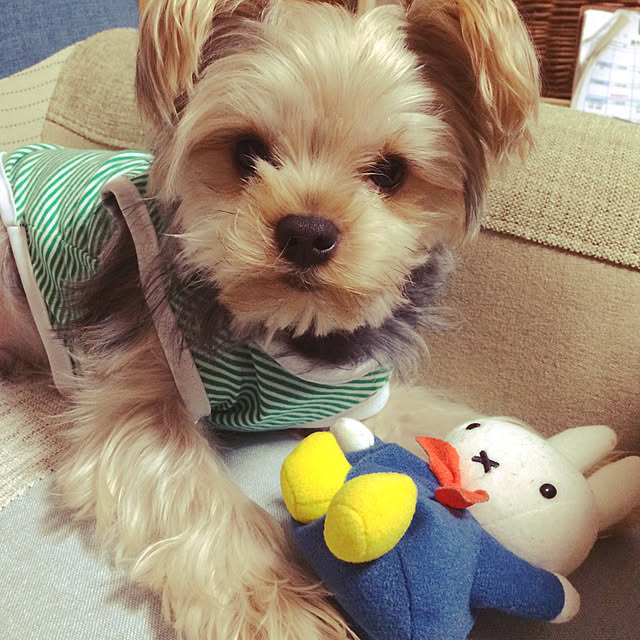 marcheさんの実例写真