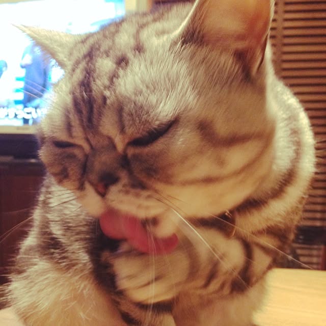 fuku48さんの実例写真