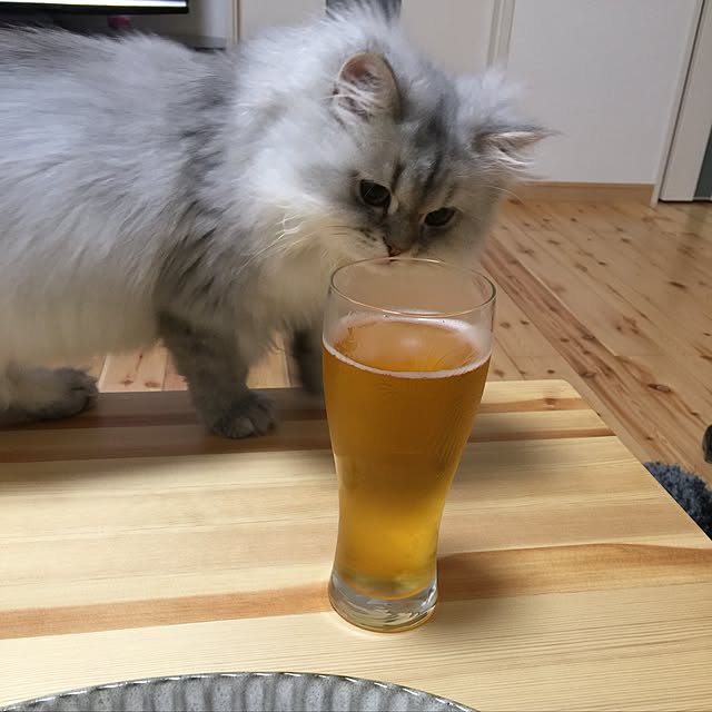 keeiikooさんの実例写真