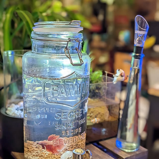 GINさんの部屋