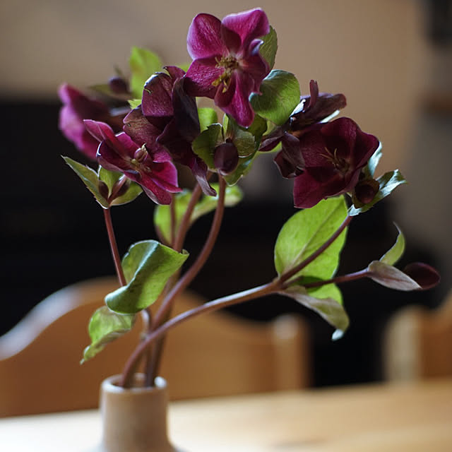 riri1989さんの部屋