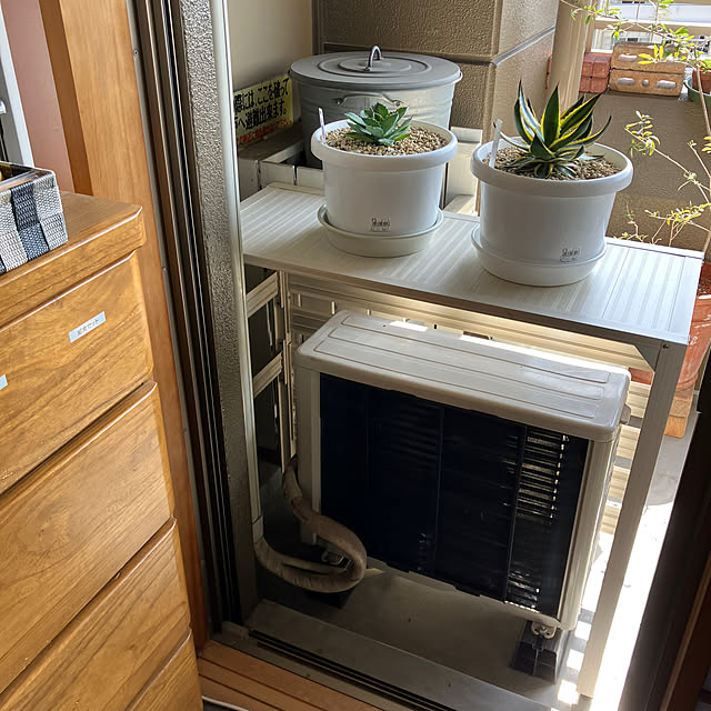 koshiregutyoさんの実例写真