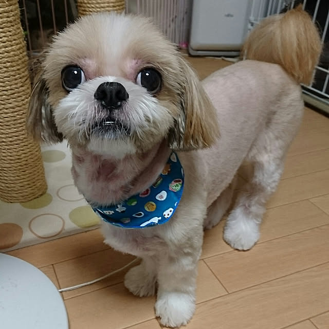 ronさんの実例写真