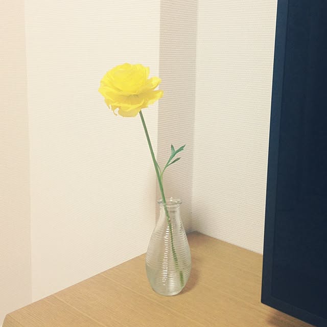 mocoさんの実例写真
