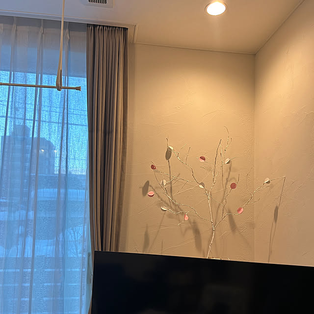 minatamaさんの実例写真