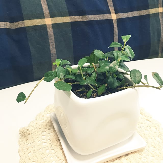 kiraraさんの実例写真