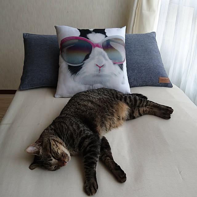 taleo07さんの実例写真