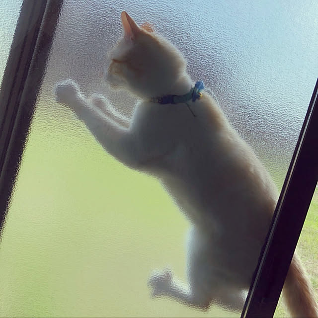 juliet0704さんの実例写真