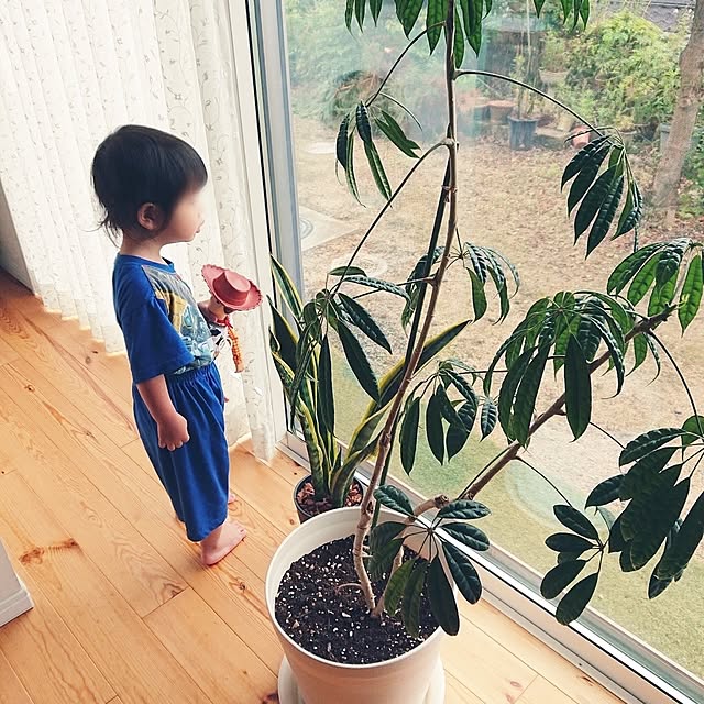 ri-eさんの実例写真