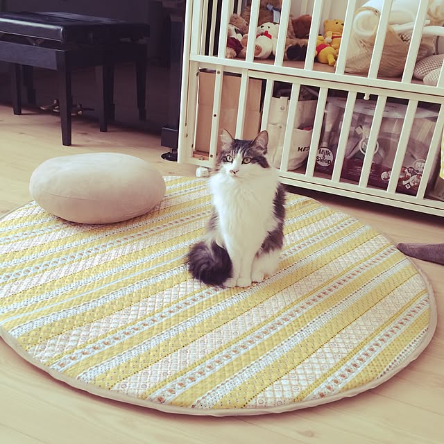Yayoiさんの実例写真