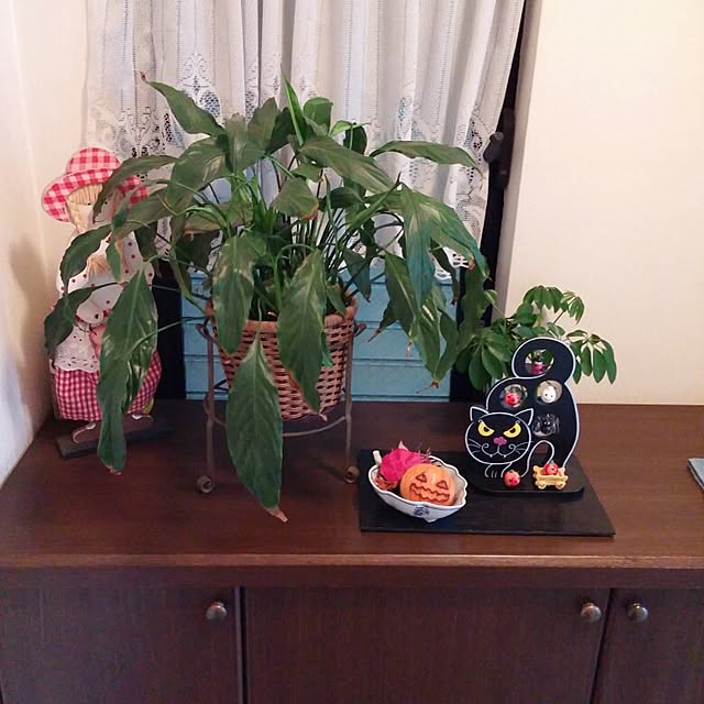 akiさんの実例写真