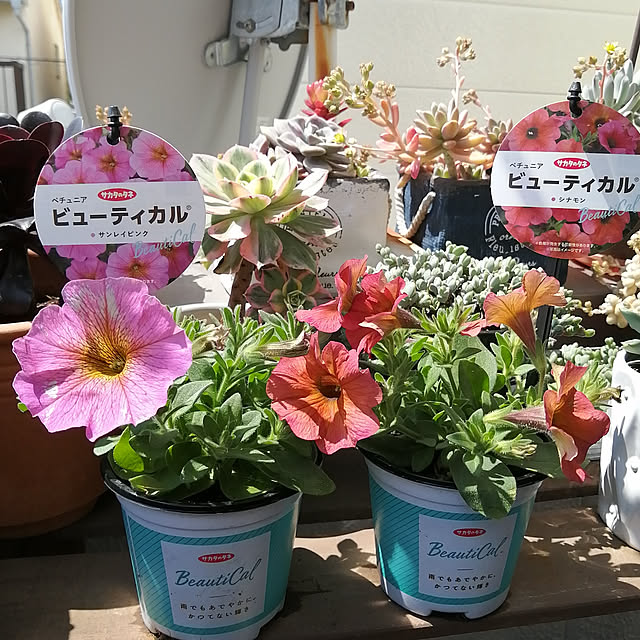 VERANDARJUNさんの実例写真