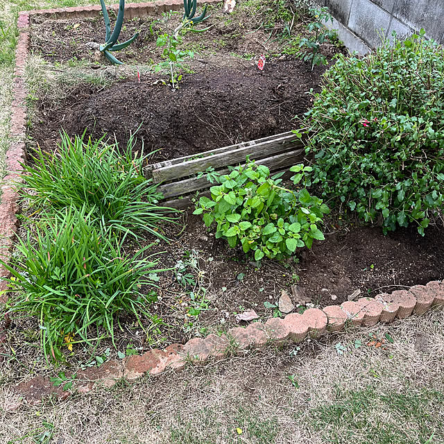 seiさんの実例写真